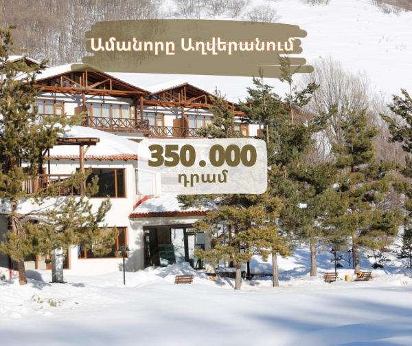 Նշենք Ամանորը Աղվերանում😍✨