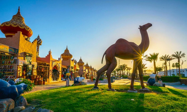 Ամենապահանջված ուղղությունը Եգիպտոս